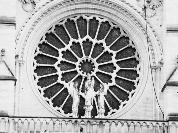 Серый Вертикальный Снимок Девы Марии Детской Статуей Соборе Нотр Дам — стоковое фото