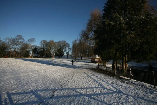 Парк Уардаун Зимой Покрытый Снегом Гуляет Один Человек Лютон Бедфордшир — стоковое фото