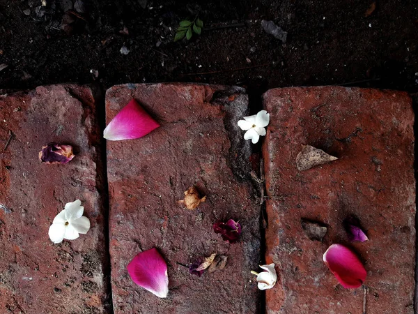 黄昏时分 花园的红砖上挂着一朵五彩缤纷的花瓣 俯瞰着落下来的花朵 — 图库照片
