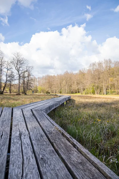 Vertikální Záběr Prázdnou Promenádu Louce Szoce Maďarsko — Stock fotografie