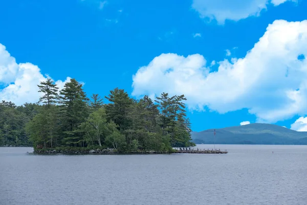 Μια Όμορφη Θέα Της Λίμνης Δέντρα Ένα Δάσος Κάτω Από — Φωτογραφία Αρχείου