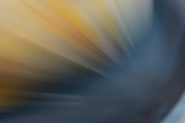 Koyu Mavi Sarı Renkli Bulanık Parıltılı Yıldız Patlaması — Stok fotoğraf
