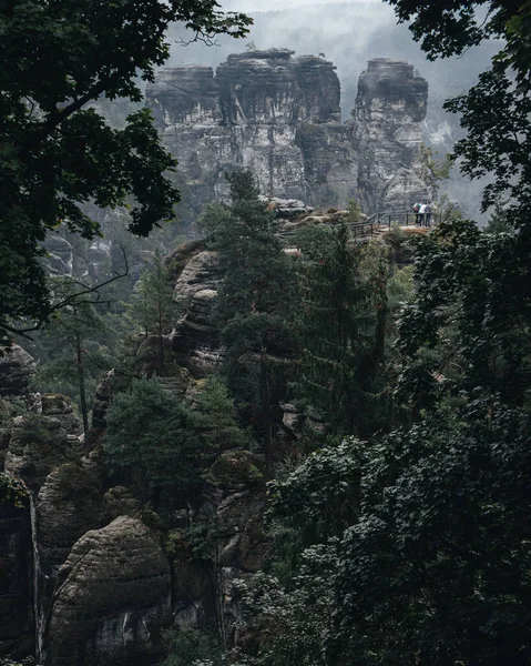 Kuva Saxon Sveitsin Kansallispuistossa Usvaisena Päivänä Uskomattoman Rock Muodostelmia Ammunta — kuvapankkivalokuva