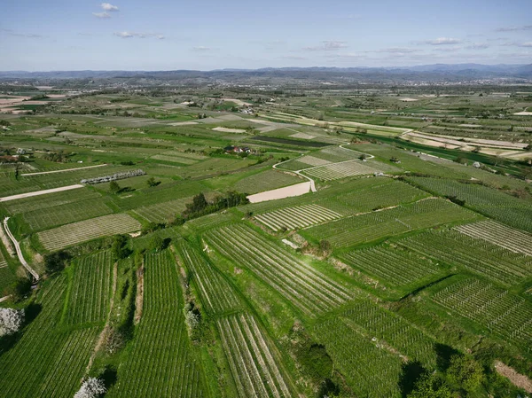 Vista Aérea Los Hermosos Campos Verdes Paisaje Rural — Foto de Stock