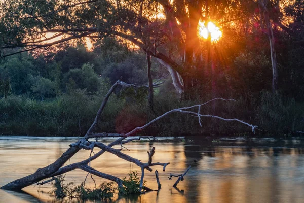 倒木で川に反射する太陽の光と夕日の自然景観 — ストック写真