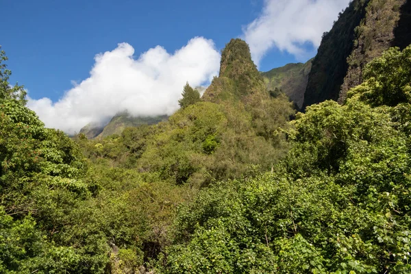 Bellissimo Paesaggio Maui Tropical Plantation Circondato Alberi Montagne Verdi — Foto Stock