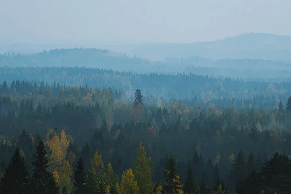 フィンランド中央部の青と霧の森の風景 — ストック写真