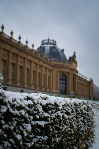 Zima Belgijskim Parku Tervuren — Zdjęcie stockowe