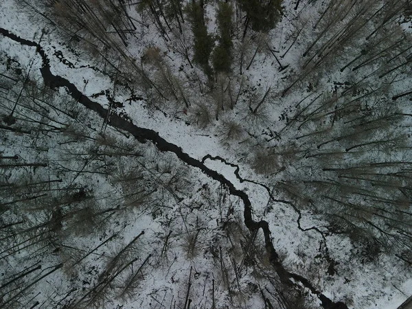 An aerial shot of a forest covered in snow during the winter