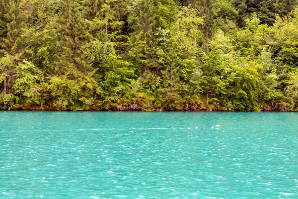 Uma Vista Hipnotizante Lago Brienzersee Florestas Interlaken Suíça Europa — Fotografia de Stock