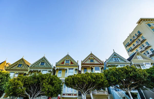 在美国旧金山 一个由五彩斑斓的维多利亚风格房屋和绿树构成的低角度与蓝天相映成趣 — 图库照片