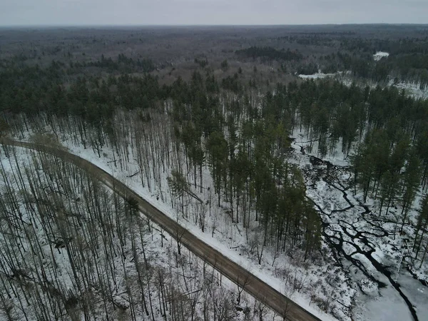 An aerial shot of a forest covered in snow during the winter