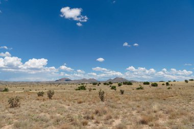 New Mexico 'da çimenli ovalar.