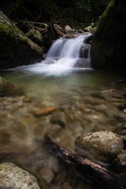 Gündüz vakti ormanda bir şelalenin dikey görüntüsü.
