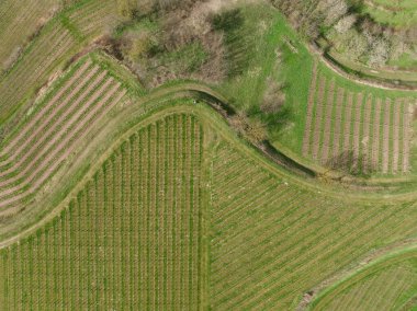 Güzel yeşil tarlaların havadan görünüşü. Kırsal alan.