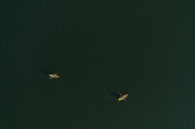 Gün boyunca yeşil suda iki kanonun havadan çekilmiş görüntüsü.