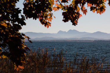 Almanya 'da Chiemsee Gölü' nün sonbahar yapraklarının manzarası