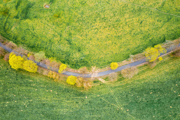 Aerial view on a road between fields with trees along in the spring