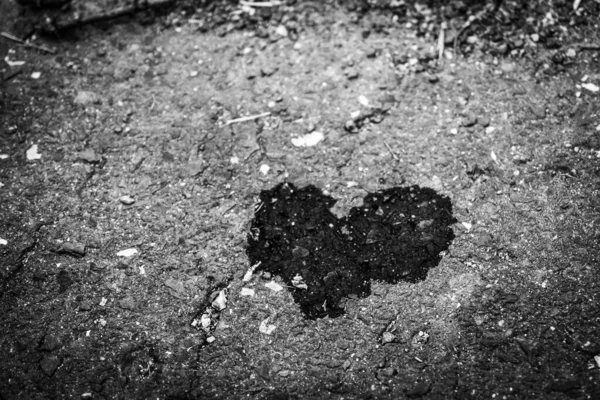 The black heart on asphalt from soil, grayscale, close-up