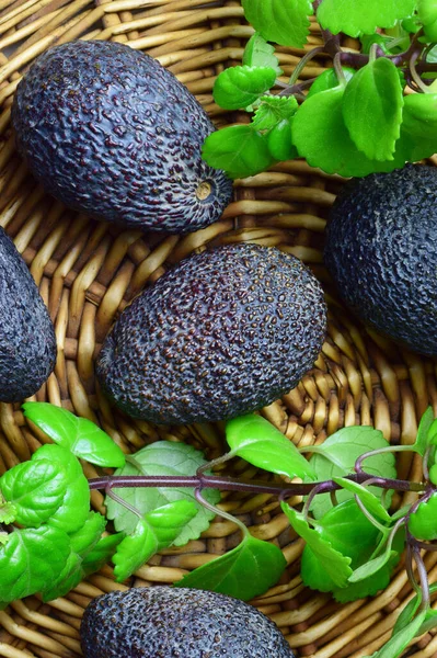 Una Vertical Aguacates Maduros Con Hojas Planta Soporte Placa Mimbre — Foto de Stock