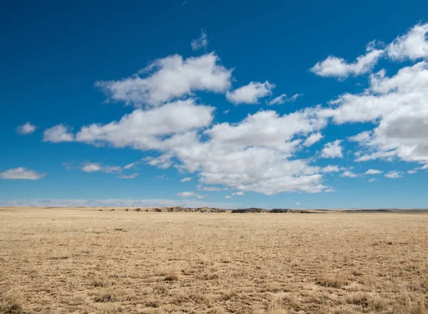 Een Shot Van Grasvlakten New Mexico — Stockfoto