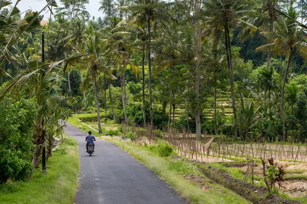 インドネシア バリのムンドゥックの通りと農地の自然景観 — ストック写真