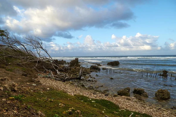 Closeup Rocky Shore Beach Driftwoods Cloudy Sky — Stock Photo, Image