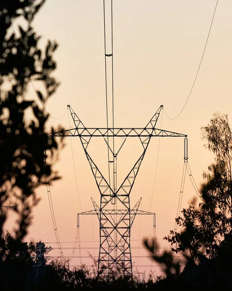 日没時の送電塔の垂直ショット — ストック写真
