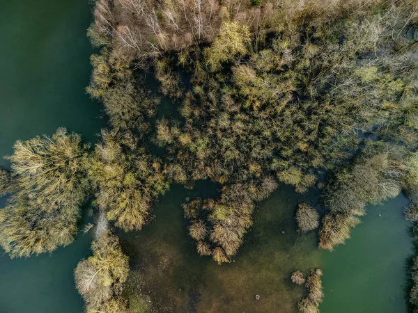 Una Vista Aérea Paisaje Rural Con Lago Rodeado Árboles — Foto de Stock