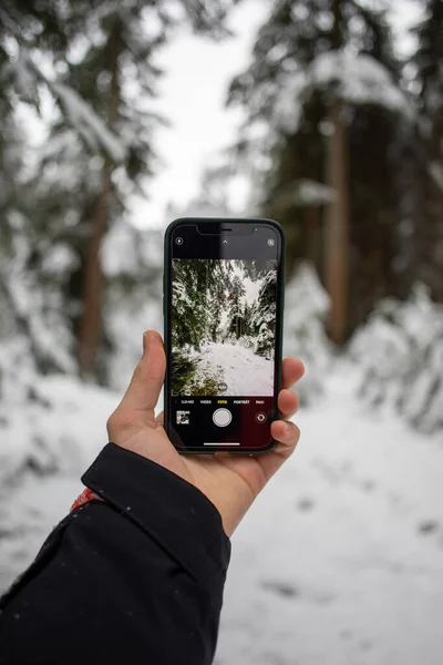 A vertical shot of a forest covered in snow being photographed