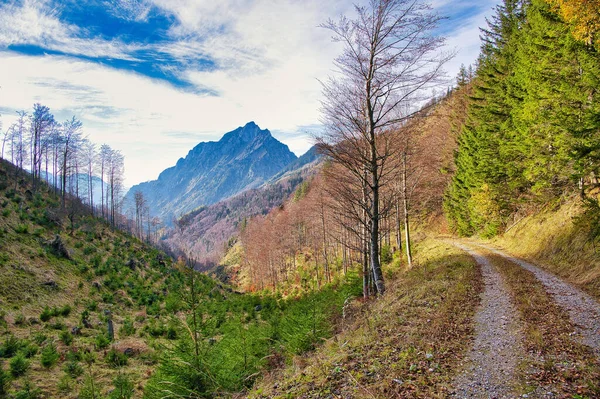 Veduta Panoramica Sentiero Nelle Montagne Del Salzkammergut Durante Autunno Una — Foto Stock