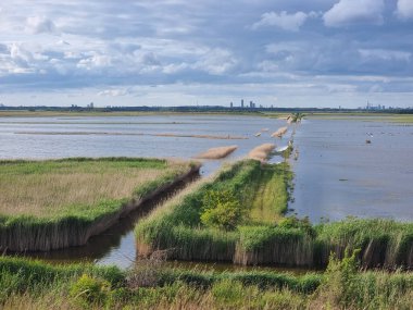 Kopenhag 'da Kalvebod Failed - Amager Vest - doğa.