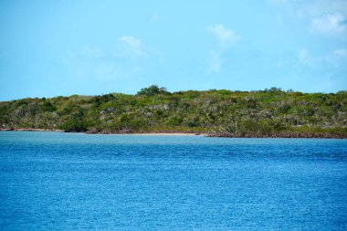 Turkuaz deniz manzarasının güzel görüntüsü. Arka planda gündüz vakti küçük yeşil bir ada var.