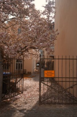 Almanca bir turuncu işaretin dikey görüntüsü. Manolya ağacının yanındaki çitin üzerinde 