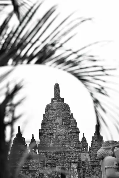 Een Verticaal Van Prambanan Tempel Indonesie Geschoten Grijswaarden — Stockfoto