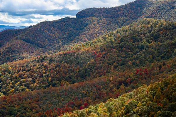 山の近くの美しい森の空中風景 — ストック写真