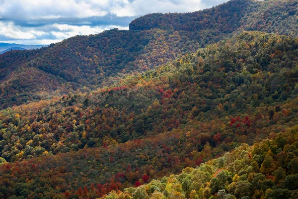 Una Vista Aérea Hermoso Bosque Cerca Las Montañas — Foto de Stock