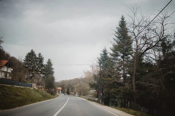 Rural Road Village Spruce Trees Cloudy Day — Stock Photo, Image