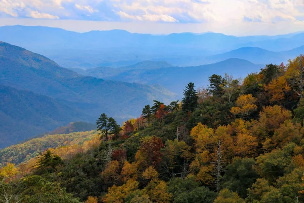 Bellissimo Paesaggio Fitte Foreste Colorate Una Zona Montuosa — Foto Stock