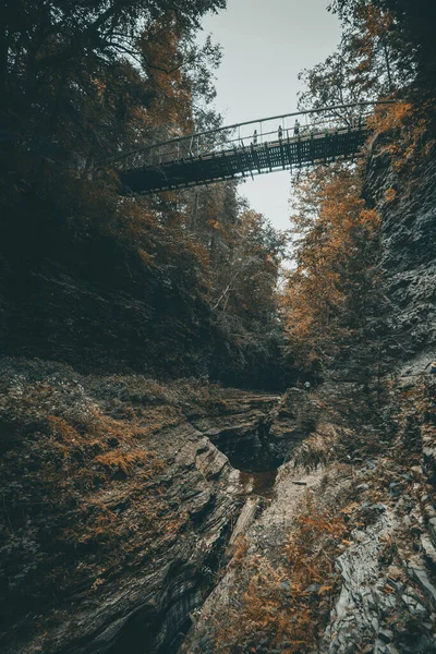 Ormandaki Kayaların Ağaçların Üzerinde Asılı Duran Yüksek Bir Köprüdeki Insanların — Stok fotoğraf