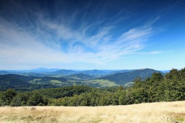 Sabah yeşil tepelerde yeşil ormanlardan oluşan güzel bir manzara.