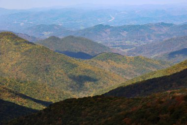 Dağların yakınındaki güzel bir ormanın havadan görünüşü.