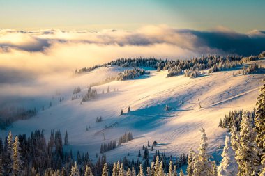 Güneşli bir günde karlı dağlardan ve bulutlarla kaplı ormanlardan oluşan güzel bir kış manzarası.