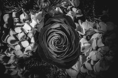 Diğer çiçeklerle çevrili güzel bir gülün gri tonlu üst görüntüsü.