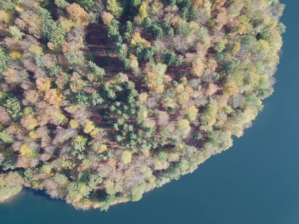 Una Vista Aérea Los Árboles Caída Por Lago Neyetalsperre Luz — Foto de Stock