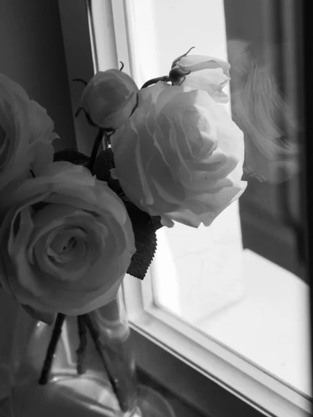 A closeup of white roses in a room