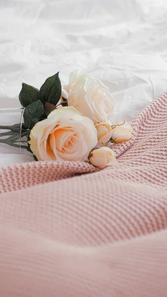 Zbliżenie Ujęcie Małego Szklanego Wazonu Pięknymi Kwiatami Łóżku — Zdjęcie stockowe