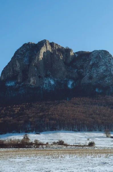 巨大な山を背景に木々に覆われた雪原の景色 — ストック写真