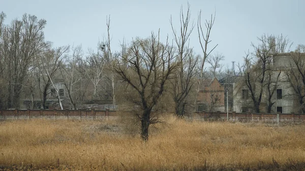 Antiguo Edificio Abandonado Bosque Otoño Durante Día —  Fotos de Stock