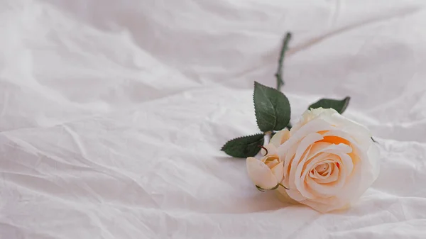 Yatakta Güzel Bir Çiçeğin Yakın Çekimi — Stok fotoğraf